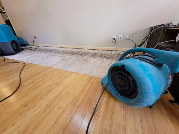 Professional Water Damage Repair technician working in Alto, MI